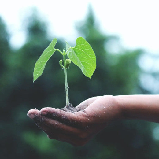 earth day activities