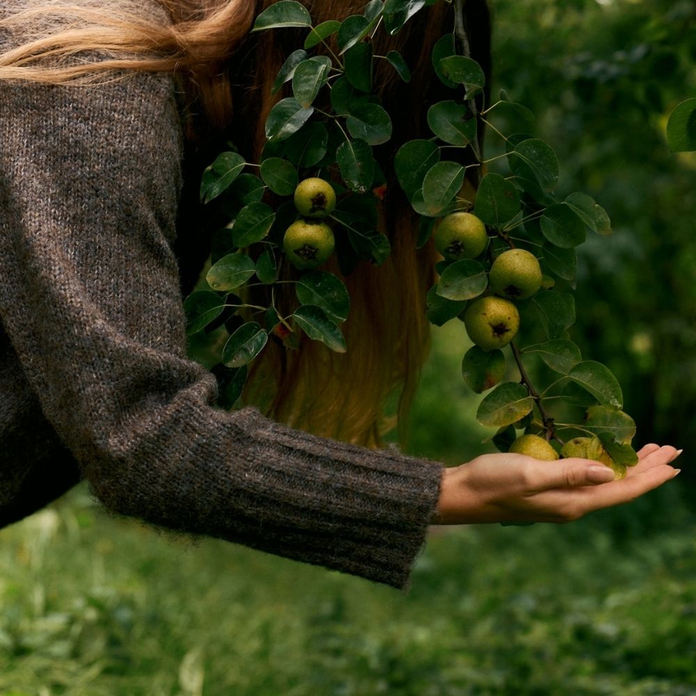 Earth Day Activities You Can Do at Home
