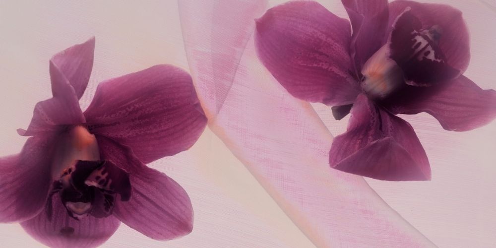 So, you bought a DivaCup—Now What?