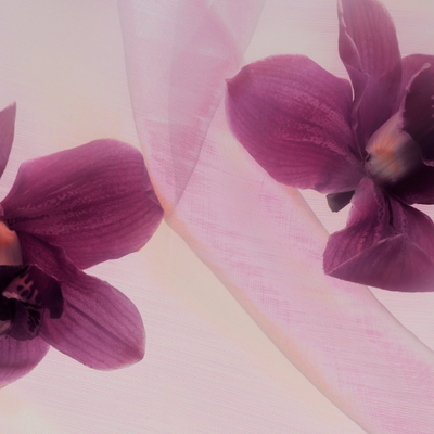 So, you bought a DivaCup—Now What?